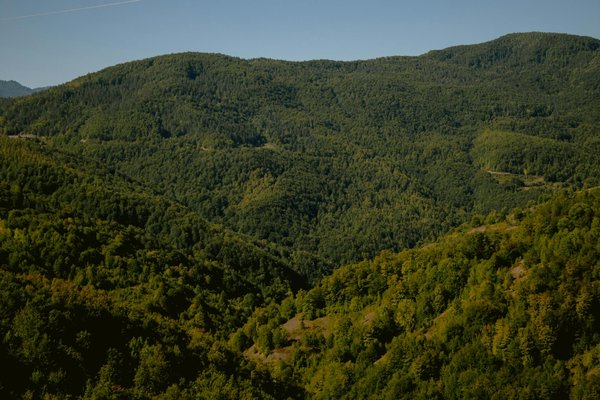 Conseil voyage et vacances : votre guide ultime