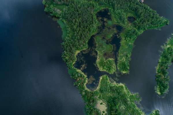 Quels principes de base de la permaculture sont applicables pour revitaliser un petit verger urbain ?